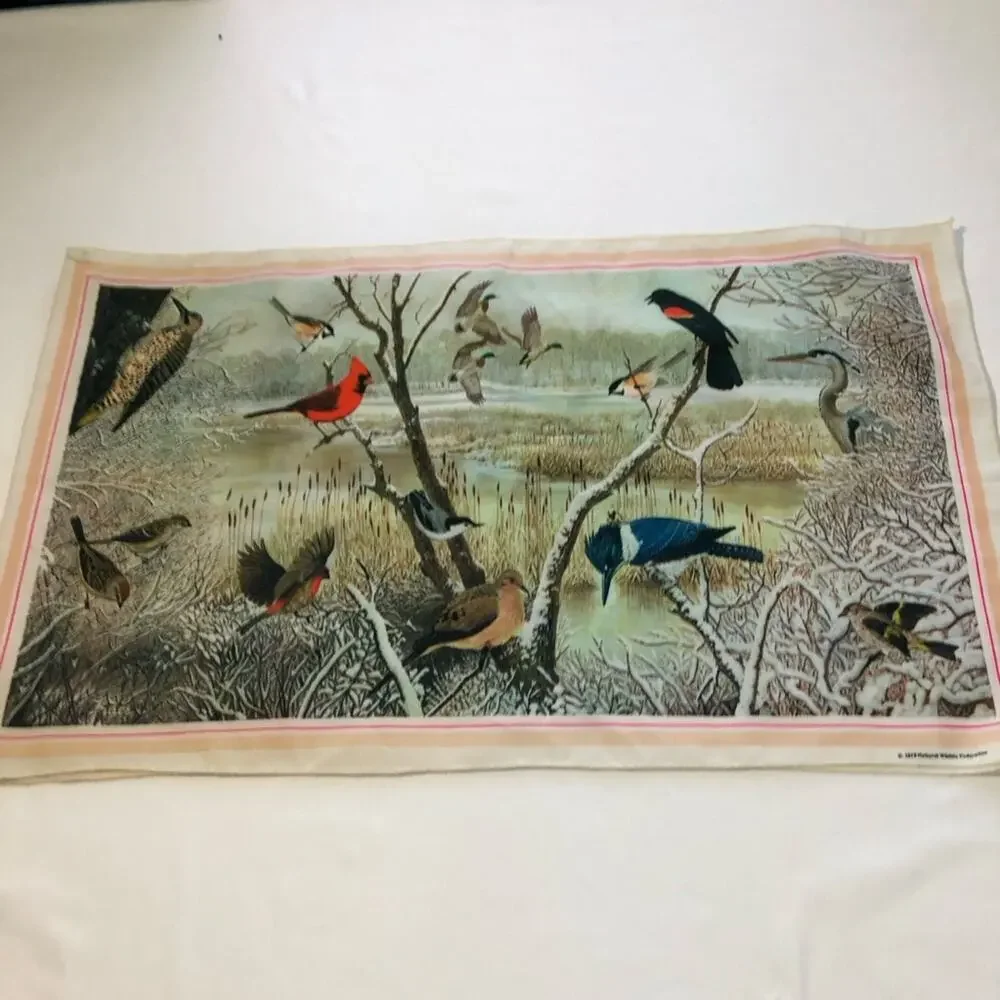 Vintage 1979 national wildlife federation bird scarf 12”x42” cardinal ducks art